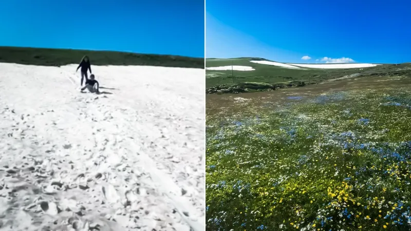 Ardahan'da Şok Eden Görüntü: Yaz ve Kış Aynı Anda!