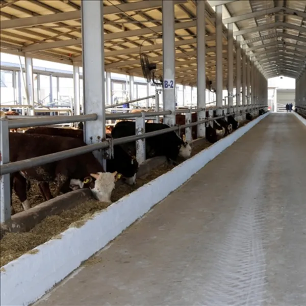 Bazı köy ve mahallelerde şap karantinası