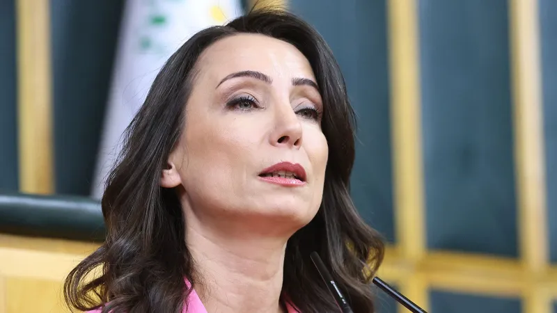DEM Partili Hatimoğulları: Yeni sürecin çözüm adresi Meclis'tir