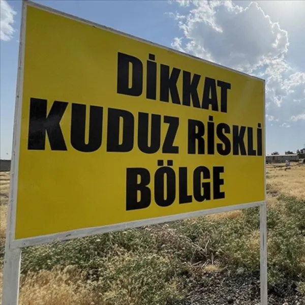 Hatay'da kuduz alarmı!