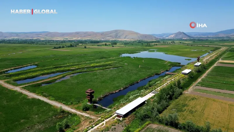 Kaz Gölü: Evlenen Çiftlerin Yeni Gözdesi! Bu Manzara Büyülüyor