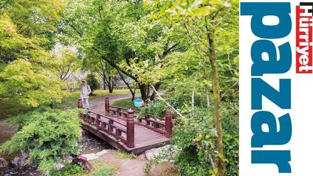 İstanbul'da Saklı Cennetler: Şehirde Huzurlu Kaçış Rotaları!