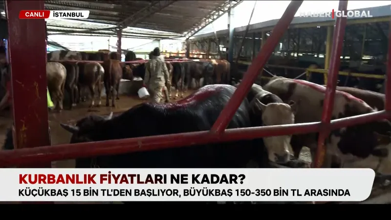 Kurbanlık Fiyatları Dudak Uçuklattı! Bakanlık Açıkladı!